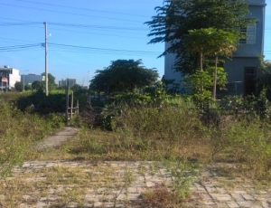 Bán đất đường Nguyễn Văn Tỵ, dân cư đông đúc an ninh tốt