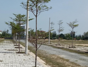 Bán nhanh lô đất gần sông cổ cò,nằm giữa khuôn viên các làng đại học đà nẵng