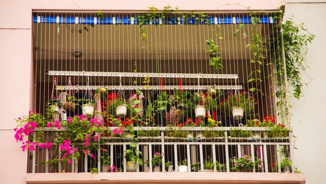 Những căn hộ đẹp hút hồn nhờ ban công hoa và cây xanh